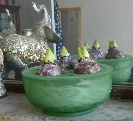 Davidson bulb bowl