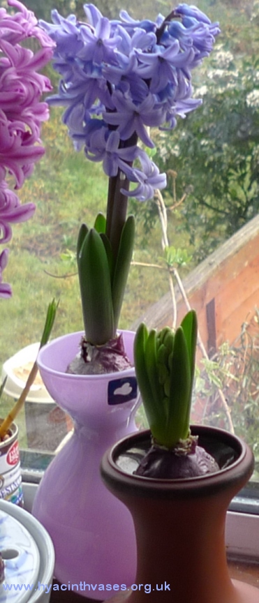 Leonardo lilac nido vase