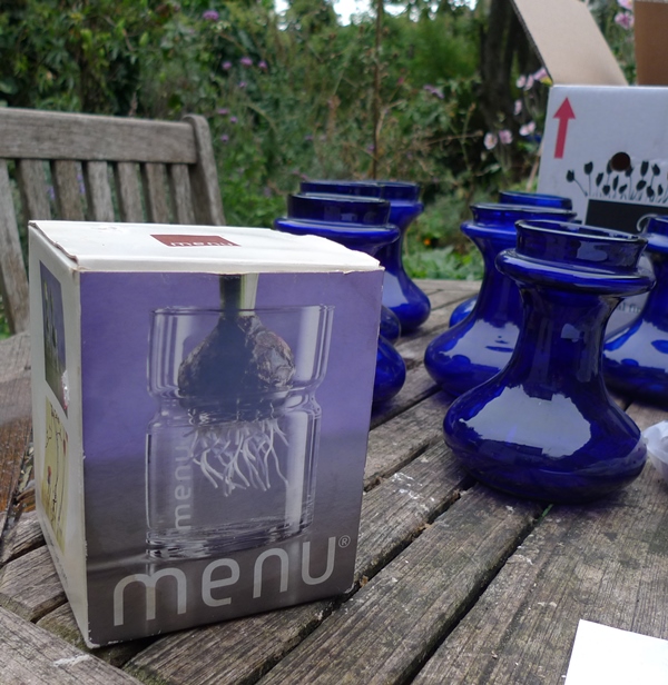 menu hyacinth vase