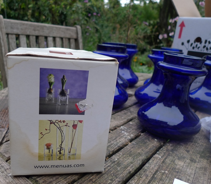 menu hyacinth vase