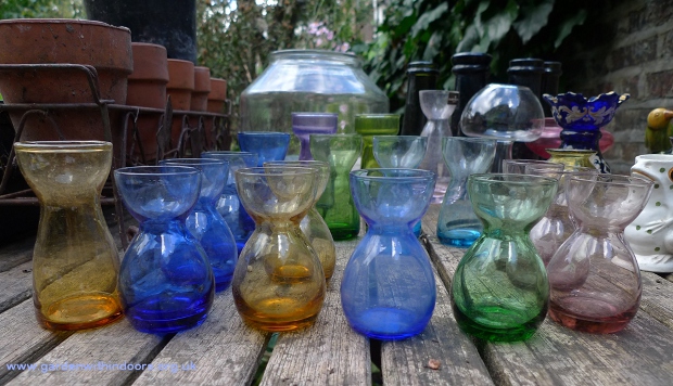 crocus vases