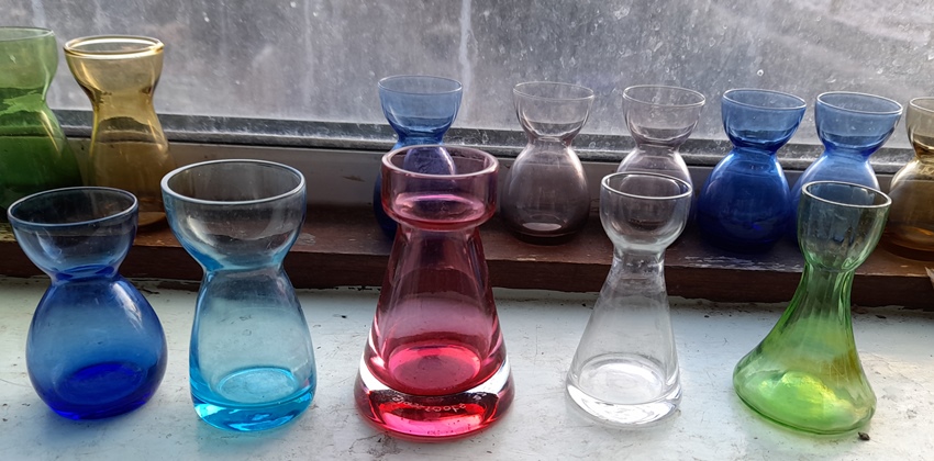 crocus vases