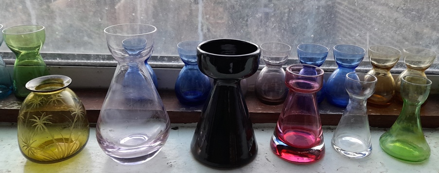 crocus vases
